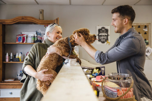 Mature woman is at the reception in the dog grooming salon with her pet cockapoo. The dog is leaning over the counter to recieve affection from the dog groomer.